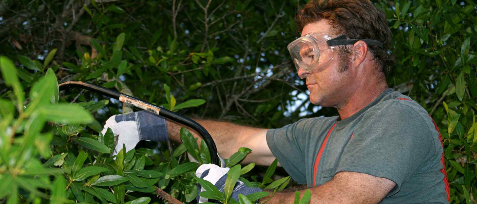 garden clearance SM6